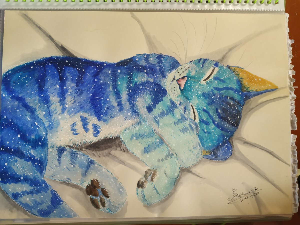 ~Rincón de Nekomiau~ tweet media