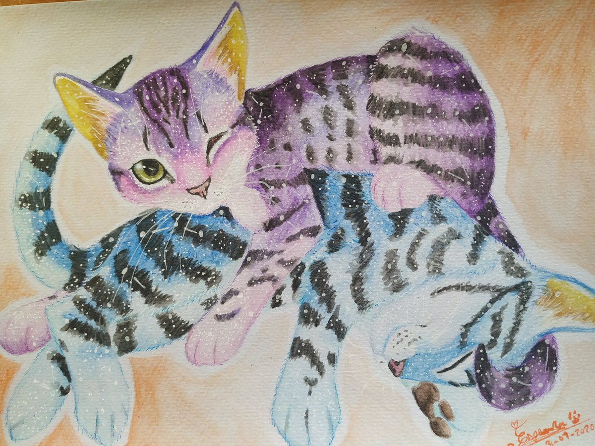 ~Rincón de Nekomiau~ tweet media