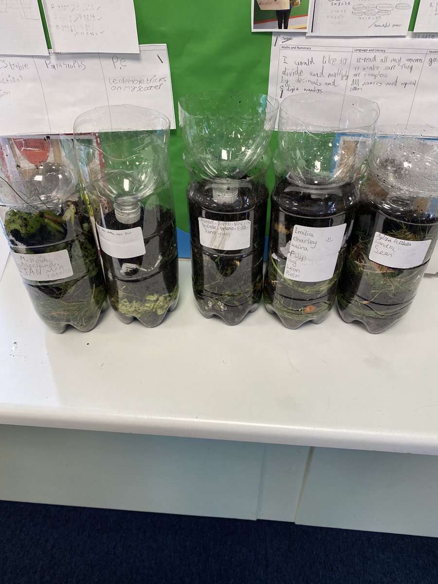 HowdenStAndrews's tweet photo. #P6 #makingcompost #ecoclass #outdoorlesrning https://t.co/dvfSFLnU9w