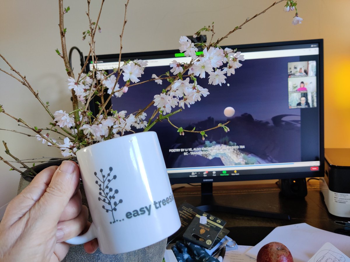 EasyTreesIE's tweet photo. Thank you #80max for your #treemendous help 9n #treeweek2021 #teatreesie https://t.co/WDRzpU4Zao
