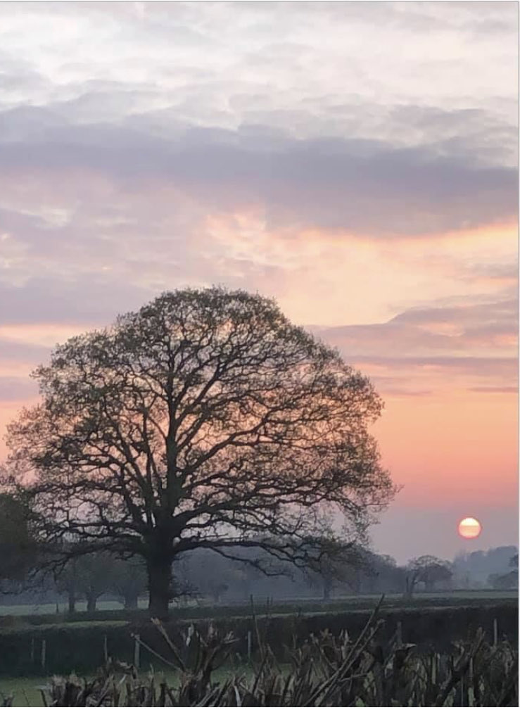 tonyhusband1's tweet image. ⁦@IMcMillan⁩ ⁦@AdrianMealing⁩