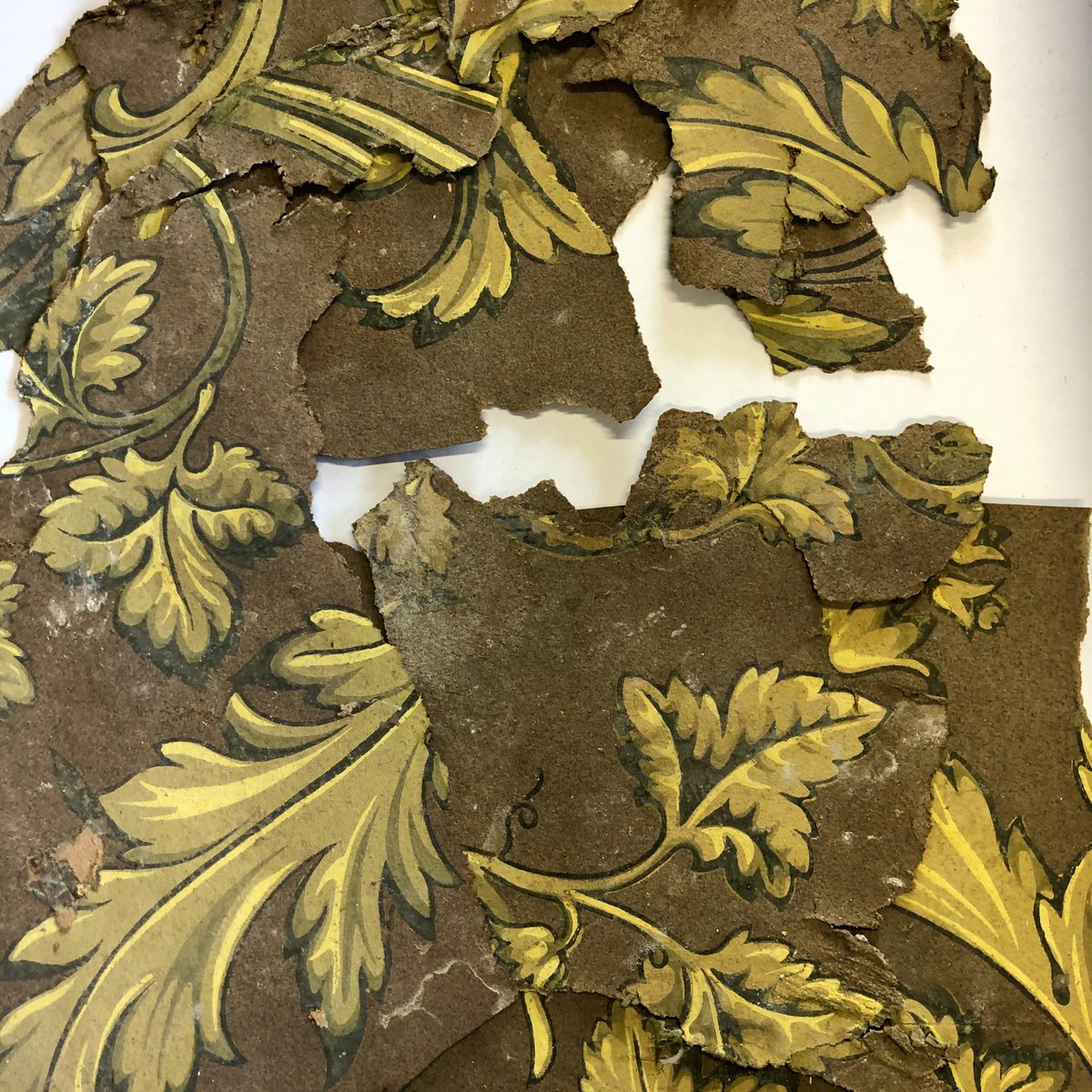 atelierdoffard's tweet photo. Découverte d'un papier peint à la planche ancien pour un projet de reconstitution !! à suivre..

▶️ N'hésitez pas à nous contacter si vous souhaitez réaliser un projet dans nos ateliers et collaborer avec nous. 

#atelierdoffard #offard #wallart #artisanal #wallpaper #papierpeint https://t.co/TrP6tCGoJa