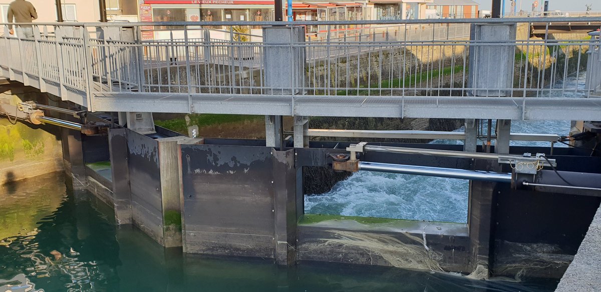 Delphinetyr's tweet photo. #EmploiMaritime 2021 #AvecPôleEmploi #Bayeux @CalvadosDep @CCICaen ⚓ C'est parti pour une matinée à #PortEnBessin ! Cap sur l'écluse, marée montante et découverte du métier d'éclusier ! https://t.co/ZpynUhV7rd