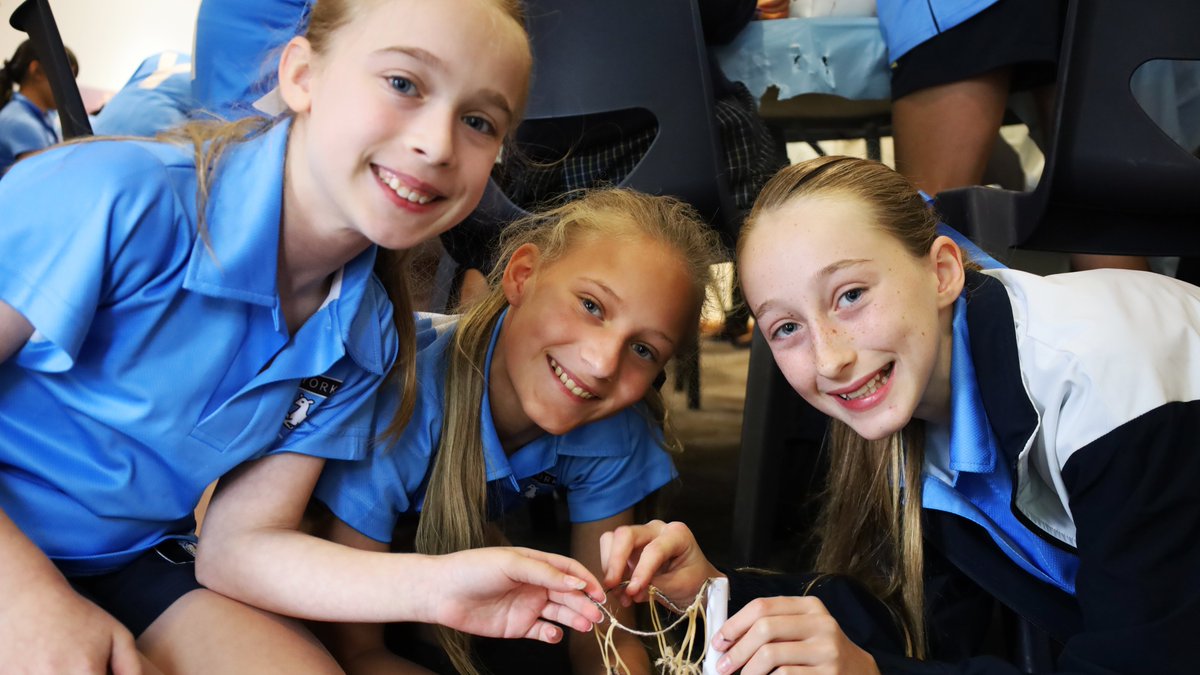 Ravenswood_News's tweet photo. The Years 7-8 Scholars Challenge combined subjects such as Science and Engineering with artistic and sporting pursuits, to tap into the skills of every girl #learningextension #STEM #problemsolving https://t.co/BFoekoCjr7