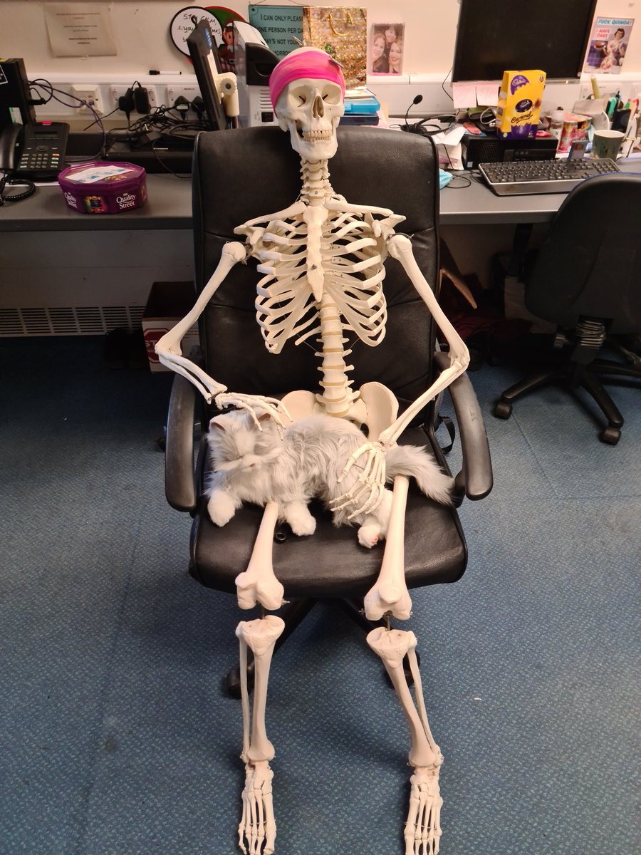 <a href="/MEHT_StanSays/">Stan Falls</a> scared the shit out me this morning... 
😂😂😂