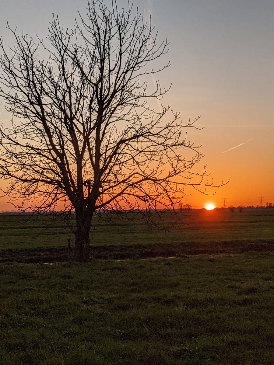 oudewaternet's tweet photo. Einde van n mooie dag. De avondrust klinkt over de polder. Hond blaft, paard hinnikt, meerkoetje snibt, trein hoorbaar in de verte.
#lentedag #avondrust #zonsondergang #avondrood #polder #oudewater #mooistestadjevanhetgroenehart #oudewatergaatdoor #ommetje https://t.co/MdxAyJHbmX