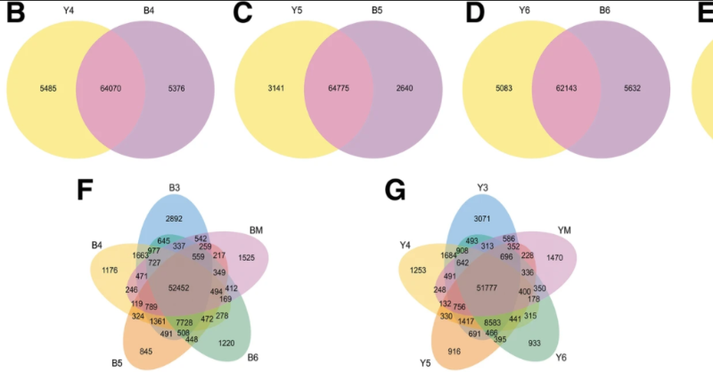 UWAresearch's tweet photo. Read ➡ https://t.co/cBrnj1Nq8Z
Brassica napus (eg canola) is of economic value for veg oil, biofuel etc. This team of researchers, incl Prof Jacqueline Batley @BatleyLab focus on developing data to improve seed quality with higher oil content
@SAgE_UWA @BiolSci_UWA @colmer_tim https://t.co/S6KHHqbxFO