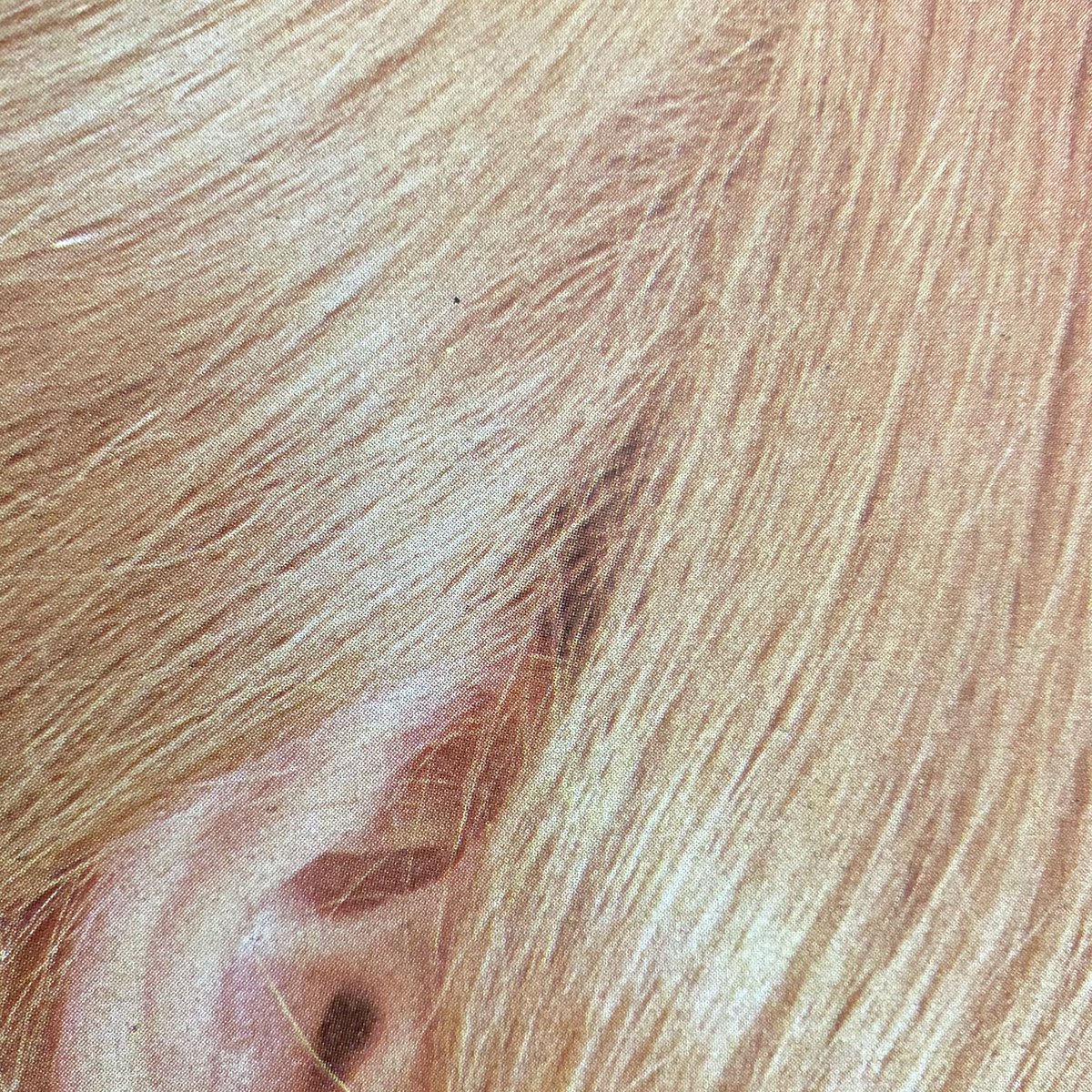 datamosh1's tweet photo. Luxury hair https://t.co/pxu2TiVWWs