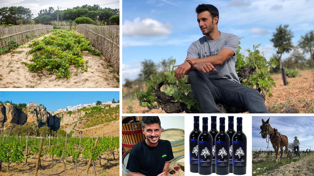 Abril en <a href="/UECatadores/">Unión Española de Catadores</a> , conoce ya nuestra agenda👉 bit.ly/3rCR1We Seis nuevas citas con invitados y temáticas 🔝🥂🥂🥂