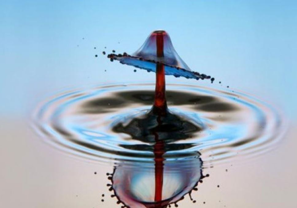 elagoradiario's tweet photo. #WaterFriday | ¿Has visto 👀 alguna vez una escultura de agua? Martin Waugh, un físico de EEUU, juega con el agua, el color y la velocidad de obturación 📷 para conseguir inmortalizar las 💦 gotas de agua. ¿Conoces su trabajo? 👉 https://t.co/fjpweQMdUU https://t.co/SyX61hnd8l