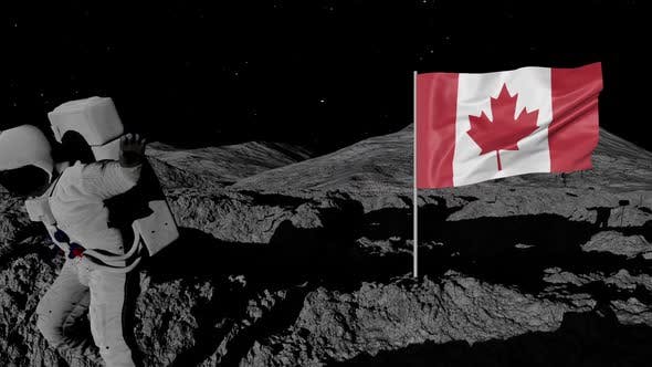 BorderLunar's tweet photo. @border_canadian 😎 https://t.co/XHDn1FRQTm