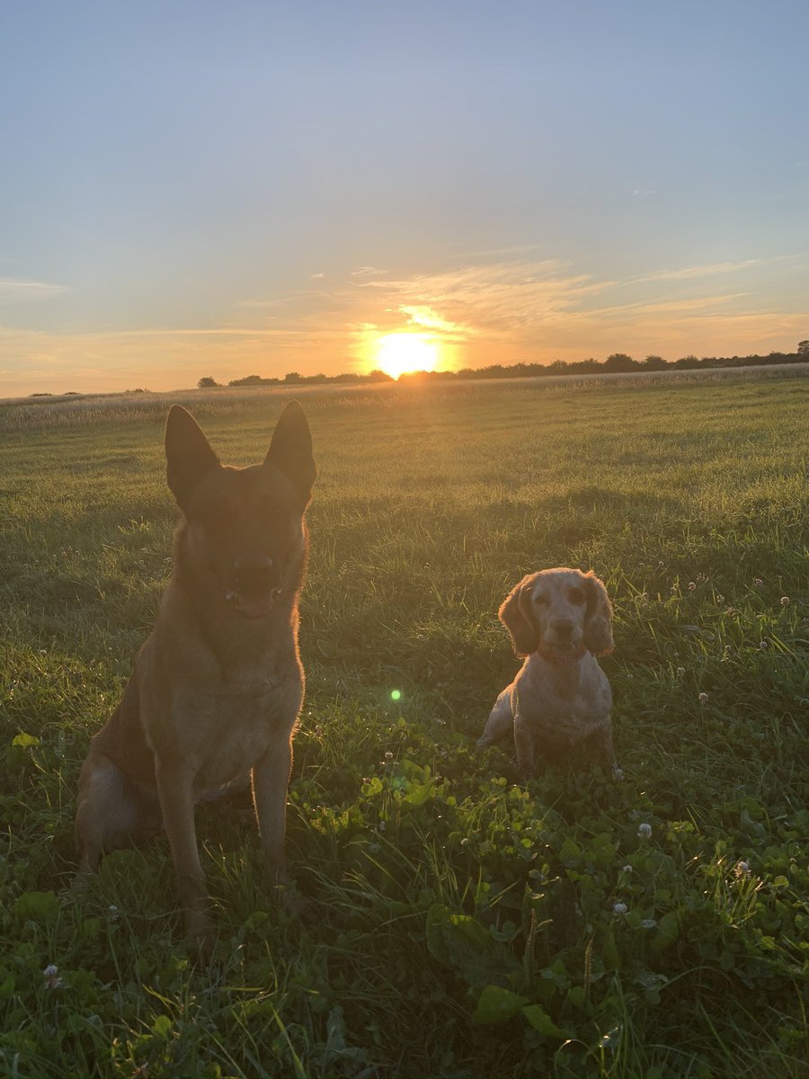 PDBen1194's tweet photo. @RobbieRinder Well said, thank you 👏🏻👏🏻 PD Ben and PD Poppy will be pleased to know they have your support x https://t.co/471OETkF31