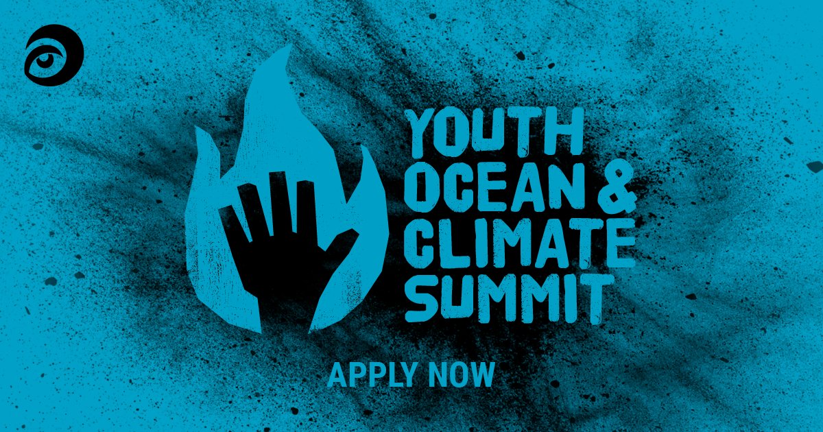 sascampaigns tweet picture