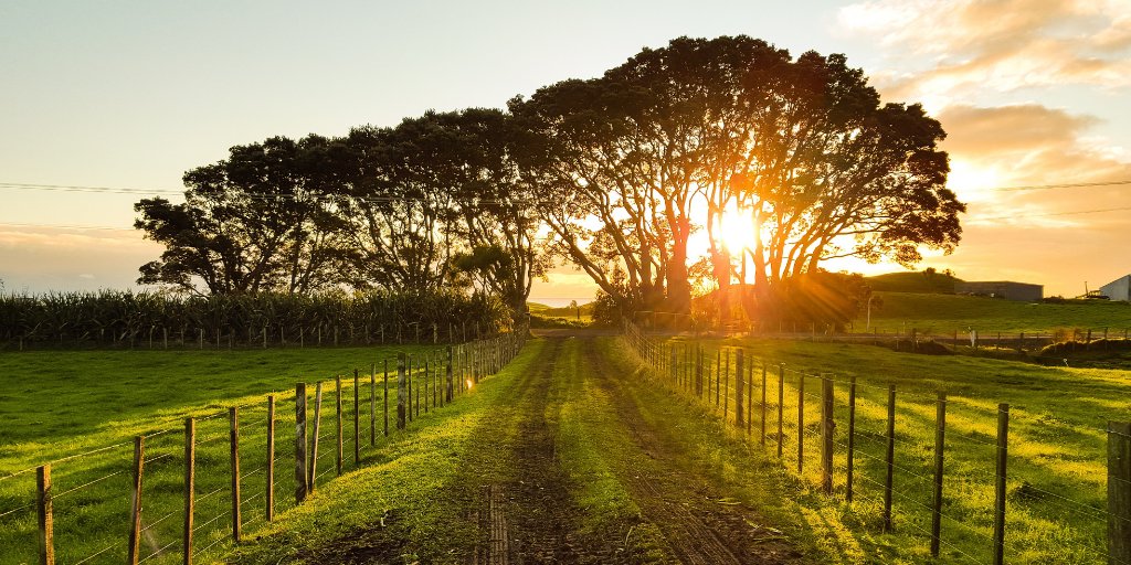 RSKGroup's tweet photo. ADAS supports AHDB Carbon Week.
Earlier this month, RSK’s agricultural and environmental consultancy, @ADASGroup, took part in a series of webinars for the @TheAHDB Carbon Week.
Read more >> https://t.co/qleiDJJ5oJ
#RSKfamily #carbonweek https://t.co/rsO0QWyp0u