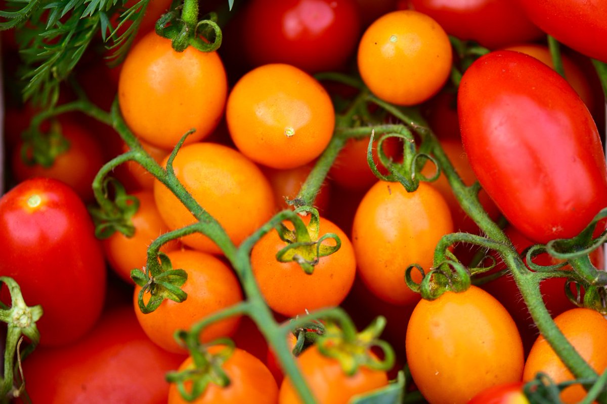 GET EXCITED...#ucffChefsArms will be back open on April 19

We will be joined by Dave Sayers from Pilot Light &amp;Tony Lewis from <a href="/burnt_chef/">The Burnt Chef Project</a> to talk to us more about mental health issues affecting our industry #togetherwearestronger 💪

Secure your place >> bit.ly/Aprilucff