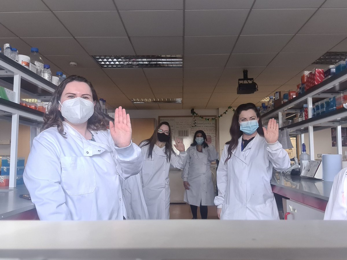 Fiona O'Connell tweet media