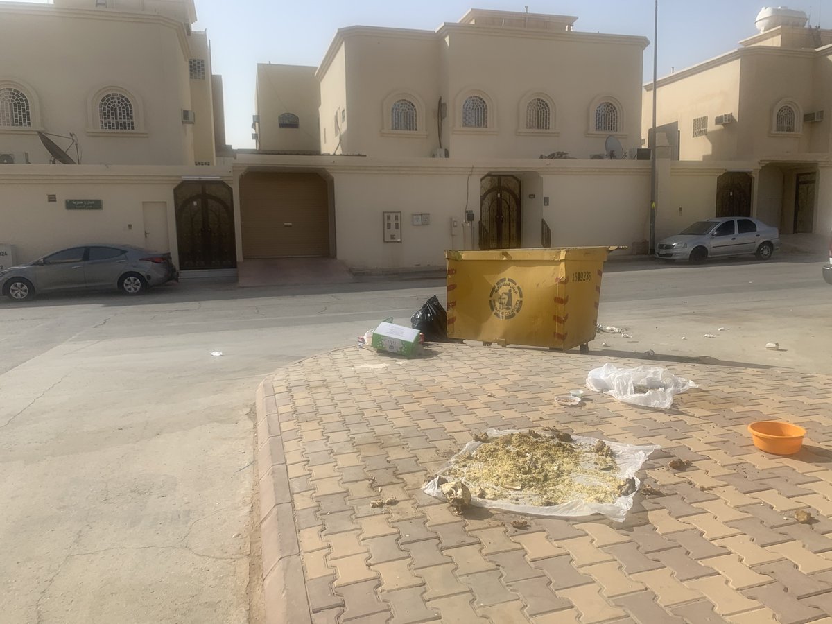 هل هذا منظر ينم عن حضارة او حتى ذوق واخلاق او حتى خلق مسلم يحرص على جيرانه و نظافة الحي الذي يسكن فيه اطعام الحيوانات في الشوارع خطاء جسيم ووضع الفائض من الموائد في الشوارع خطاء اكبر