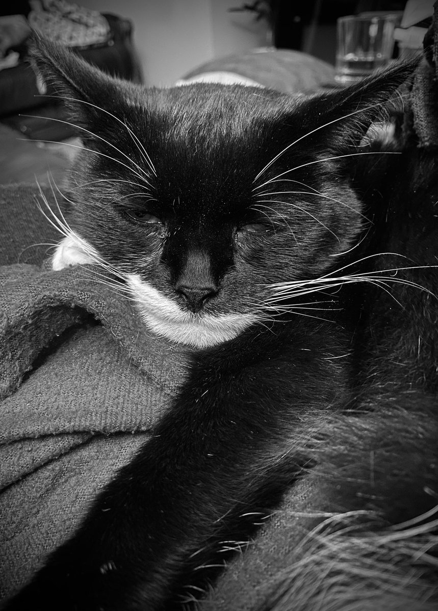 Sharon J Porter tweet media