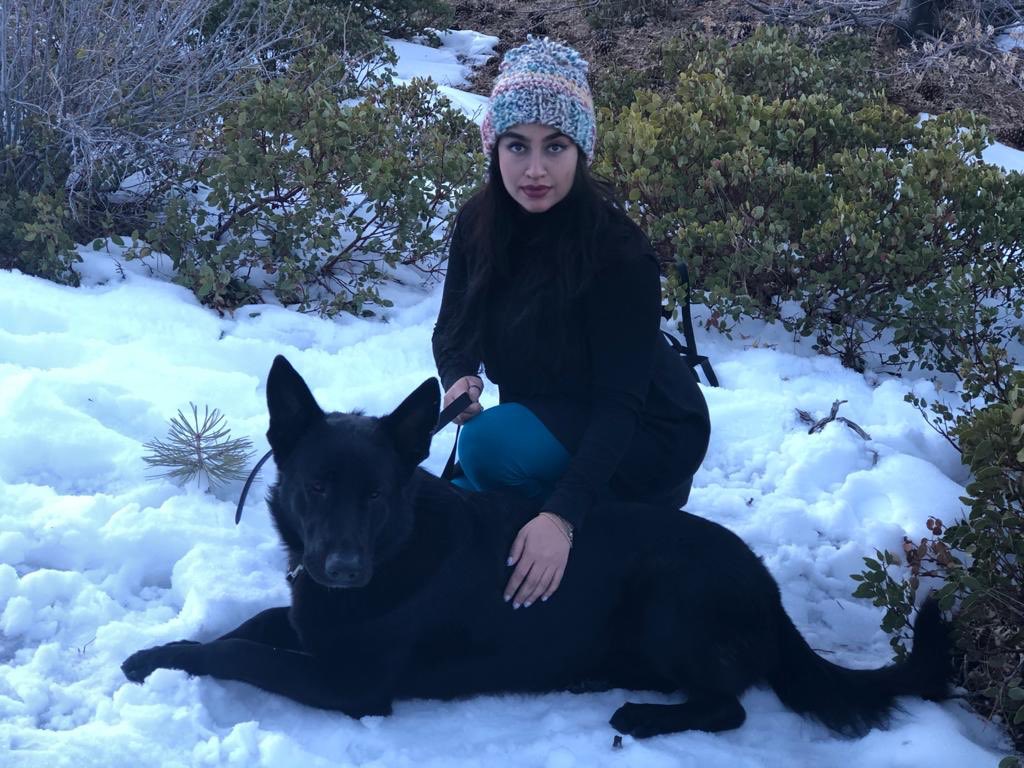sophian1027's tweet photo. Drogo’s first snow... 🖤 https://t.co/NdY1Lw1VAB