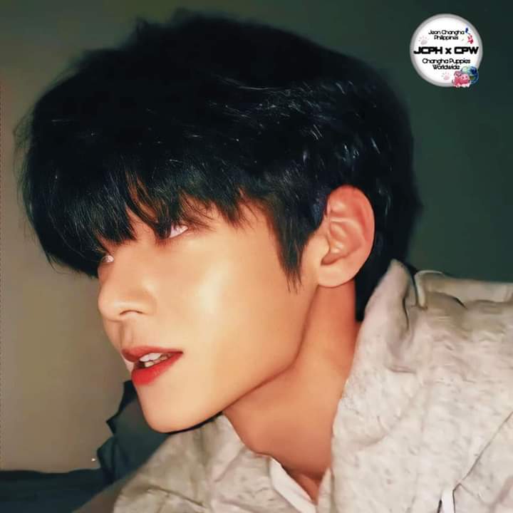 JCPHXCPW's tweet photo. πβ€οΈ
@CHANGHA_twt
#changha #jeonchangha #jeonchanghaphilippines #jeonchanghapuppiesworldwide #changhaday #jeonchanghainfinite #igupdate #ytupdate #twitterupdate #tiktokupdate #happyCHANGHAday #changhaverified #ChanghaIG1M https://t.co/MeODqgOED6