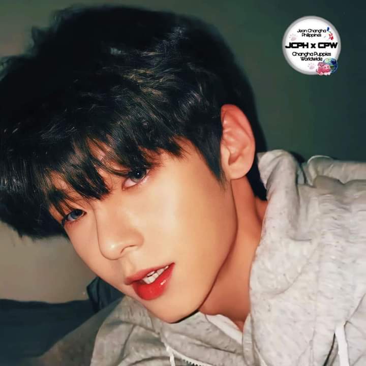 JCPHXCPW's tweet photo. πβ€οΈ
@CHANGHA_twt
#changha #jeonchangha #jeonchanghaphilippines #jeonchanghapuppiesworldwide #changhaday #jeonchanghainfinite #igupdate #ytupdate #twitterupdate #tiktokupdate #happyCHANGHAday #changhaverified #ChanghaIG1M https://t.co/MeODqgOED6