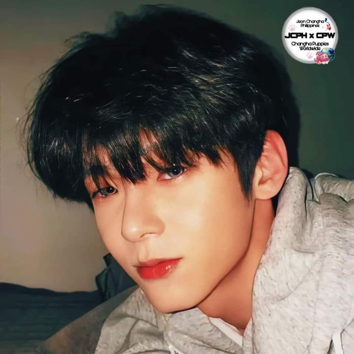 JCPHXCPW's tweet photo. πβ€οΈ
@CHANGHA_twt
#changha #jeonchangha #jeonchanghaphilippines #jeonchanghapuppiesworldwide #changhaday #jeonchanghainfinite #igupdate #ytupdate #twitterupdate #tiktokupdate #happyCHANGHAday #changhaverified #ChanghaIG1M https://t.co/MeODqgOED6
