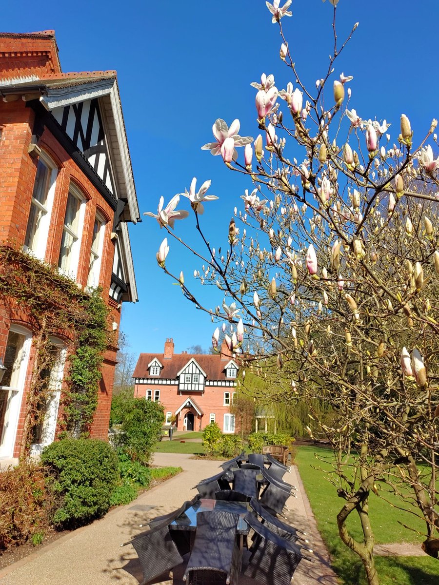 The DowerHouse Hotel (@dowerhotel) on Twitter photo So exciting... our Magnolia tree is starting to blossom, spring is definitely in the air ๐๐ผ and we're getting ready to open๐๐!
Don't forget to DM us or email- info@the-dowerhousehotel.co.uk to book a table for weekends from 18th April. We're looking forward to seeing you! So exciting... our Magnolia tree is starting to blossom, spring is definitely in the air ๐๐ผ and we're getting ready to open๐๐!
Don't forget to DM us or email- info@the-dowerhousehotel.co.uk to book a table for weekends from 18th April. We're looking forward to seeing you!