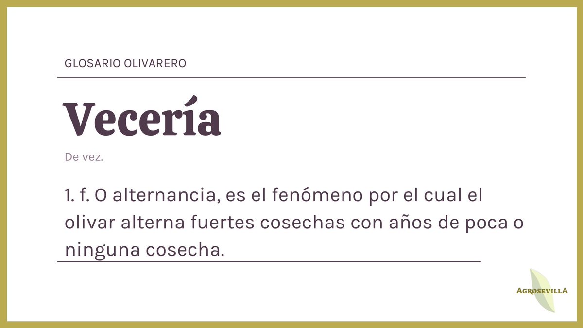 agrosevilla_'s tweet photo. #GlosarioOlivarero | El olivo es una especie vecera. De forma general, una abundante cosecha precede a otra con escasa floración. Esto se debe a la inhibición de la inducción floral. https://t.co/5r8VdsaMz2