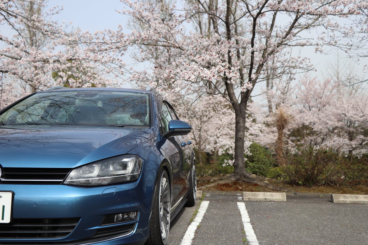 utDedMpqnZCfx1a's tweet photo. 桜と車撮ってきたよ
#桜とコラボ
#Volkswagen
#IDEAL
#FORGETECH
#フォルクスワーゲン乗りと繋がりたい https://t.co/JNpCXfxkBS