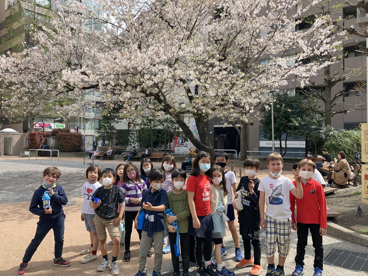 MSTokyoGinkgo's tweet photo. Ginkgo students at recess with cherry blossoms. It looks like raining! #WeAreMST #MSTGinkgo https://t.co/xNRniuHsVT