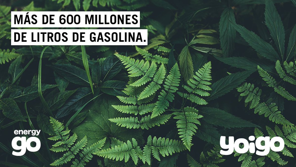 yoigoluzygas's tweet photo. Si todos los clientes de @yoigo se vinieran a #EnergyGO, el planeta se ahorraría 1.440.000 toneladas de CO2, como si dejaran de circular 350.000 coches.
➡️ https://t.co/7ZIbKwwOCy https://t.co/7Kg5fq5SBF