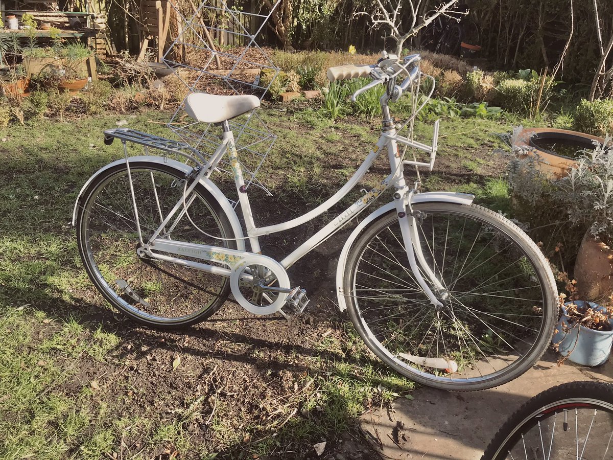 SpankedLobster's tweet photo. Got the bike bug, cleaning up this lady today getting all those spots of rust and grime off so she can sparkle in the sun ⛅️☺️🤍 #bicycle #sunshine https://t.co/MHuIMH5tWa