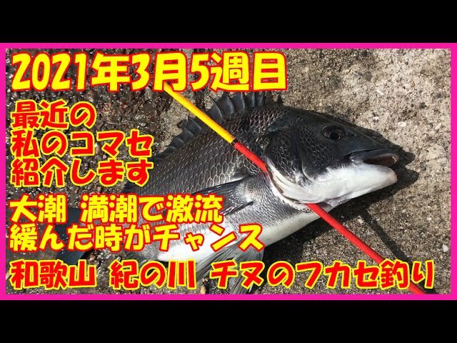 クロキン なにしとん Petkyouya Twitter クロキン なにしとん Petkyouya Twitter