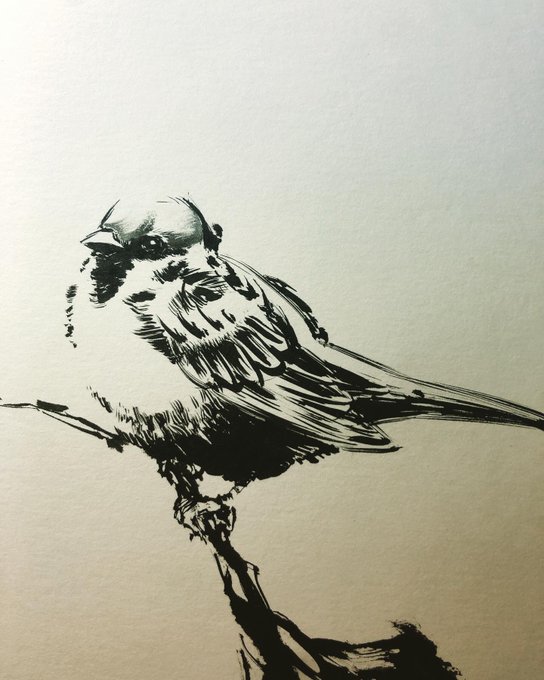 Daftar Tweet墨絵師 御歌頭 Okazu Memberi Hash 墨絵 1 Whotwi Analisis Twitter Grafis Daftar Tweet墨絵師 御歌頭 Okazu Memberi Hash 墨絵 1 Whotwi Analisis Twitter Grafis