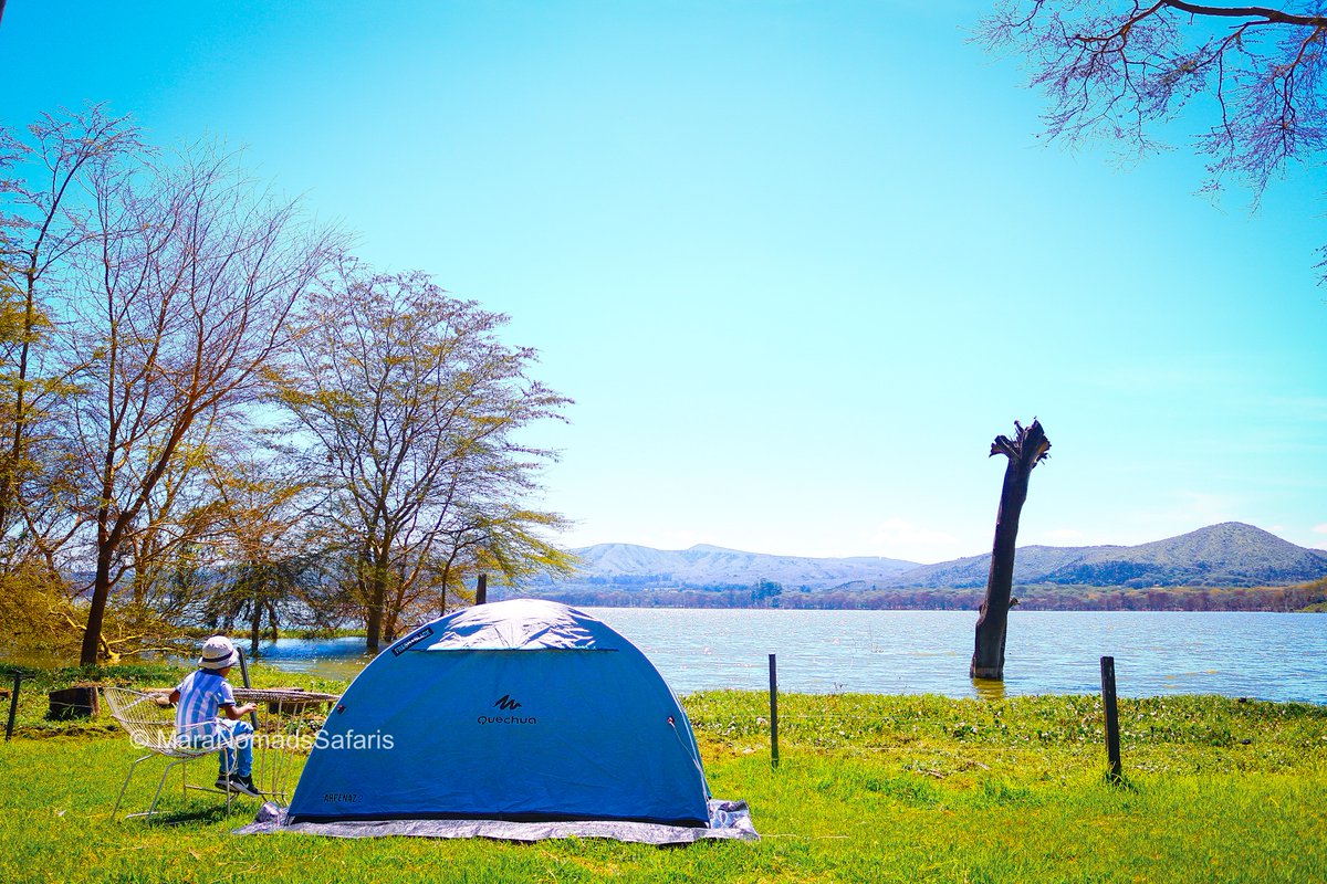 MaraNomads's tweet photo. #GetNomadic with us on an Epic Kenyan -style camping trip to the mystical Lake Oloiden in Naivasha County. 

Camping rates:
Single Pax: 3,000.00 – Bed only 
Double (2) pax: 4,0000.00 – Bed only
Jumbo Kizingo (8-10) pax: 10,000.00 – Bed only

Own Tent:
Adult Kes 1,000.00 per night https://t.co/ODHRlb3nub