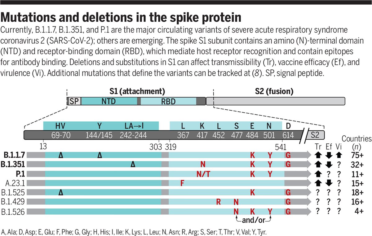 Science Magazine tweet media