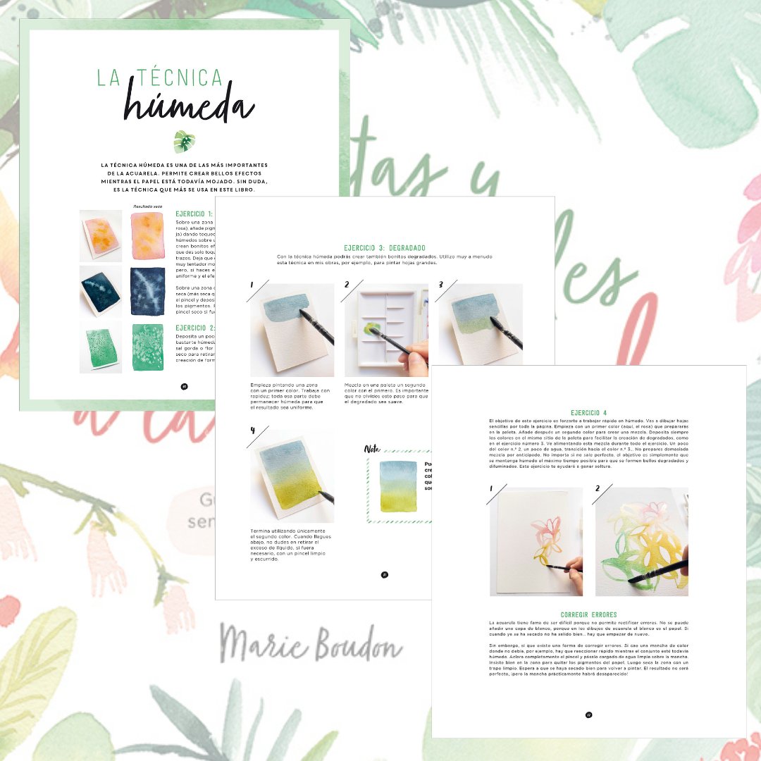 EditorialElDrac's tweet photo. PLANTAS Y #FLORES TROPICALES A LA #ACUARELA de #MarieBoudon 🌺🌴🖌️📚 Este libro explica con todo detalle materiales, colores, técnicas básicas y encuadres para empezar a realizar bellas composiciones florales. Hojas de palma, #monstera, #hibisco, #anturio https://t.co/IUJTMkel1i https://t.co/ZJZKPzLSx4