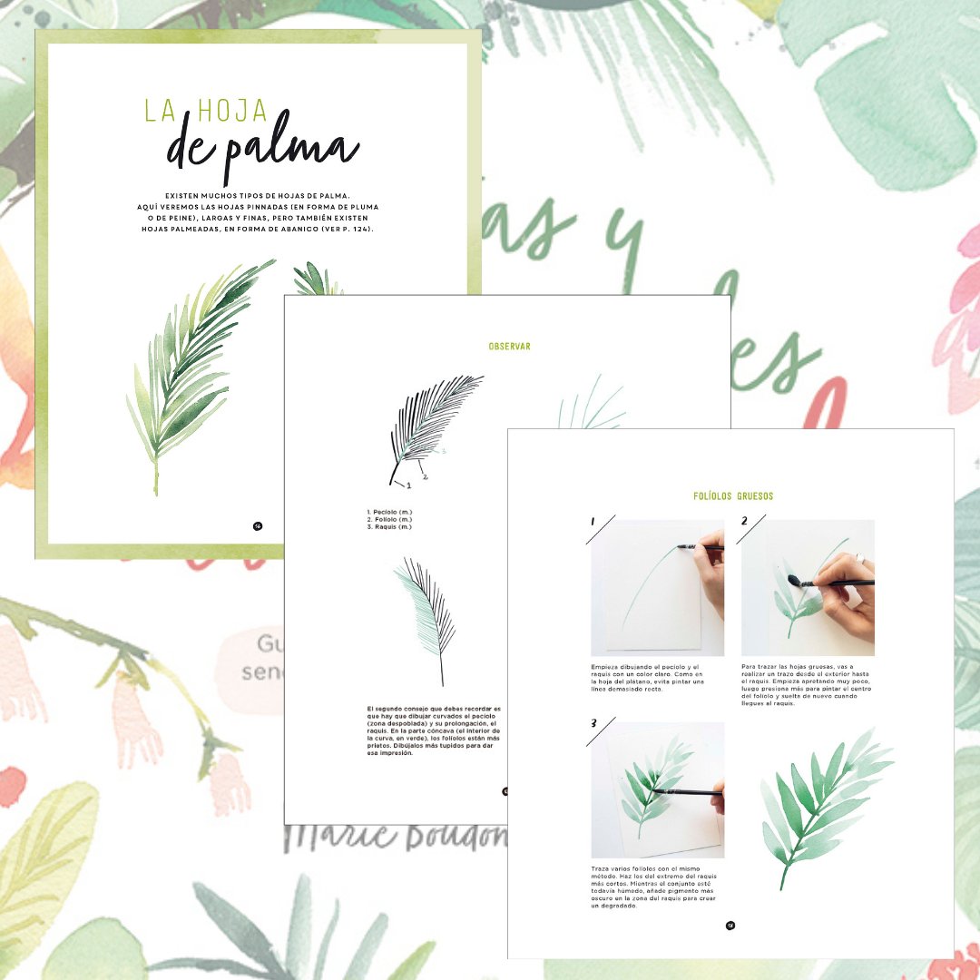 EditorialElDrac's tweet photo. PLANTAS Y #FLORES TROPICALES A LA #ACUARELA de #MarieBoudon 🌺🌴🖌️📚 Este libro explica con todo detalle materiales, colores, técnicas básicas y encuadres para empezar a realizar bellas composiciones florales. Hojas de palma, #monstera, #hibisco, #anturio https://t.co/IUJTMkel1i https://t.co/ZJZKPzLSx4