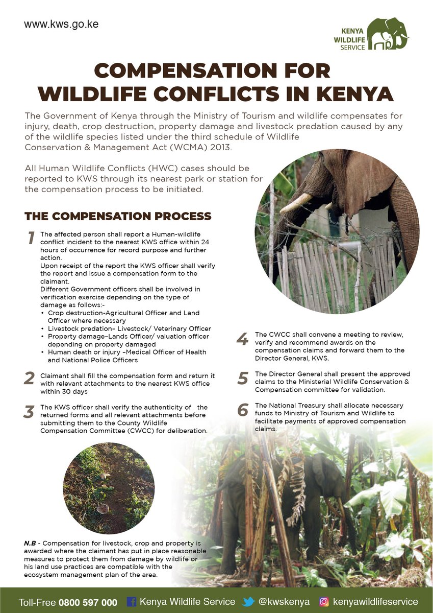 KWSKenya's tweet photo. The government of Kenya offers compensation for personal injury, or death, or damage to property caused by wildlife. The elaborate compensation process is spearheaded by the county wildlife conservation and compensation committee in each respective county #WildlifeKe https://t.co/awtrFpFUZ5