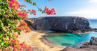 True or false? The Canary Islands are named after dogs not birds?