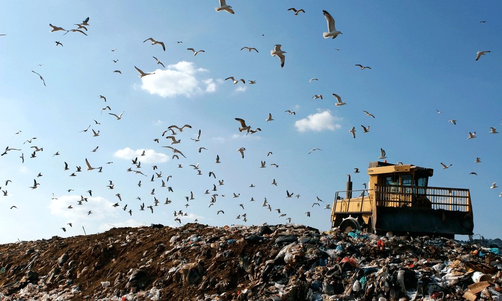 MEConstructionN's tweet photo. Dubai to establish one of the world’s largest waste-to-energy plants https://t.co/odfmQxzq2x #Dubai #UAE #DubaiMunicipality #DubaiHolding #BESIX #HitachiZosenInova #TechGroup #wastetoenergy #waste #energy #utilities #infrastructure #development #funding #project #construction ... https://t.co/l0VQjkhM48
