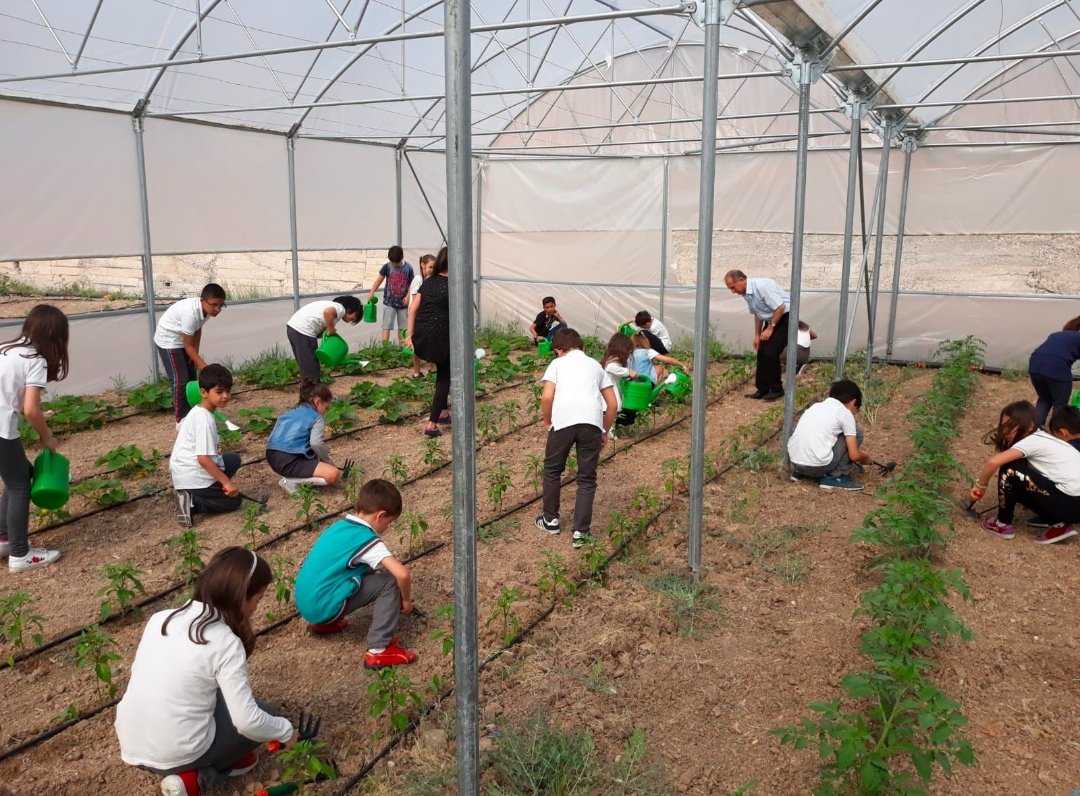 Öğrencilerimizin önce tohumu sonra da tohumun yuvası toprağı tanıması için neler yapabiliriz? 

#TasarımBeceriAtölyesi kapsamında kurulan tarım atölyesinde neler yapılmış, birlikte okuyalım. 😉
yadadergi.com/tba-tarim-atol…