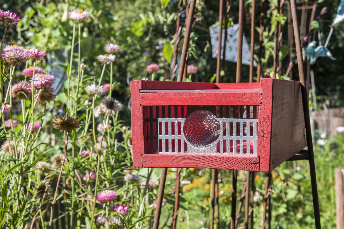 Ville d'Angers tweet media