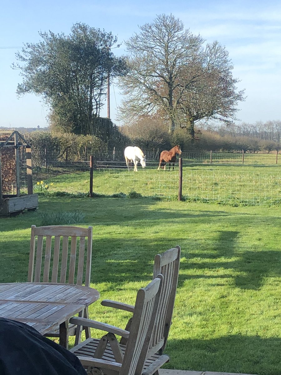 SimonGardiner's tweet image. On mornings like this, working from home ain’t that bad - can’t wait to put my out of office on tomorrow for my Easter break!#coffee #staycation #needarest