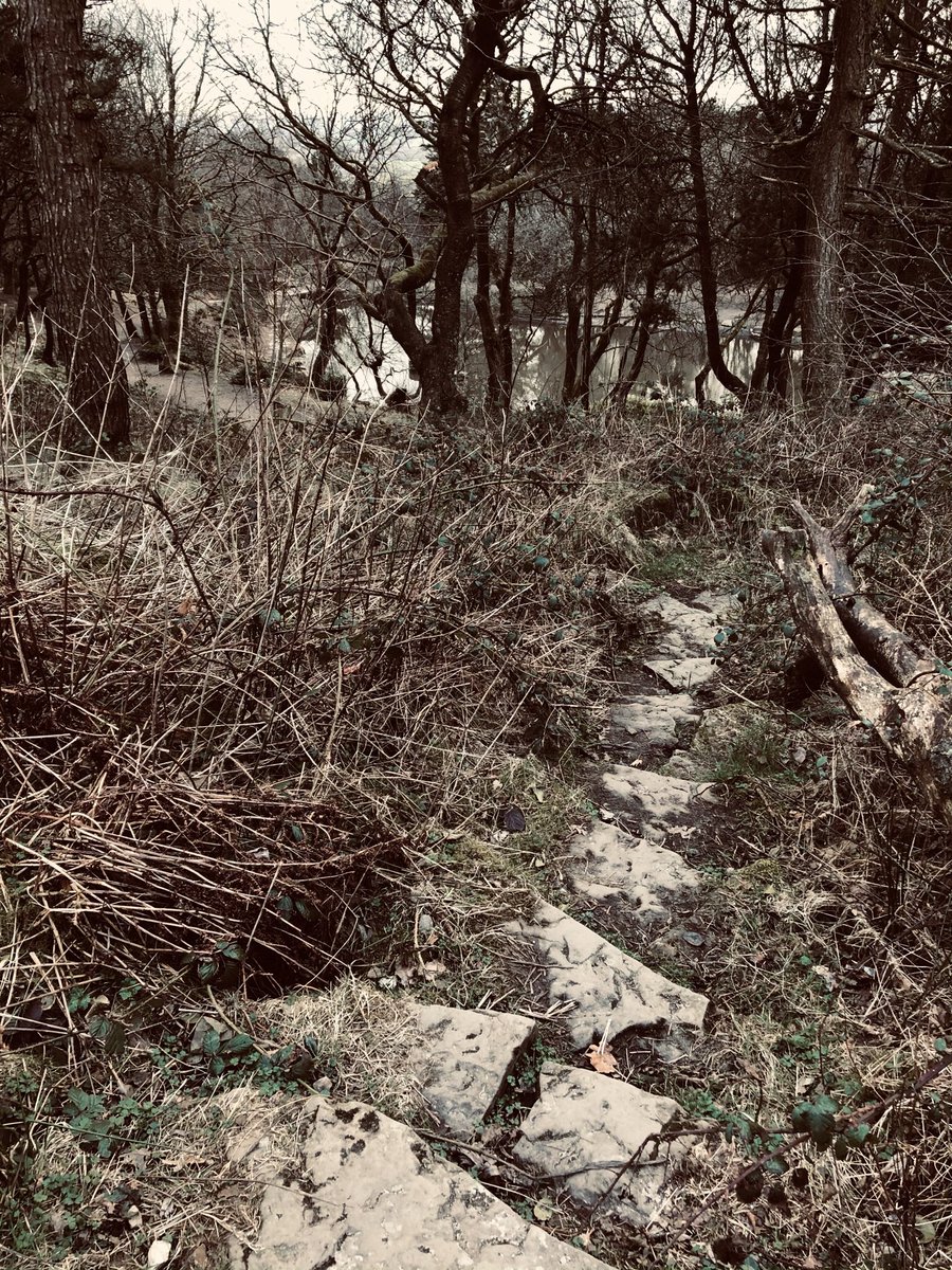 CreativeFutur12's tweet photo. Photography walk Rivington Pike Bolton https://t.co/wo289QR3eo