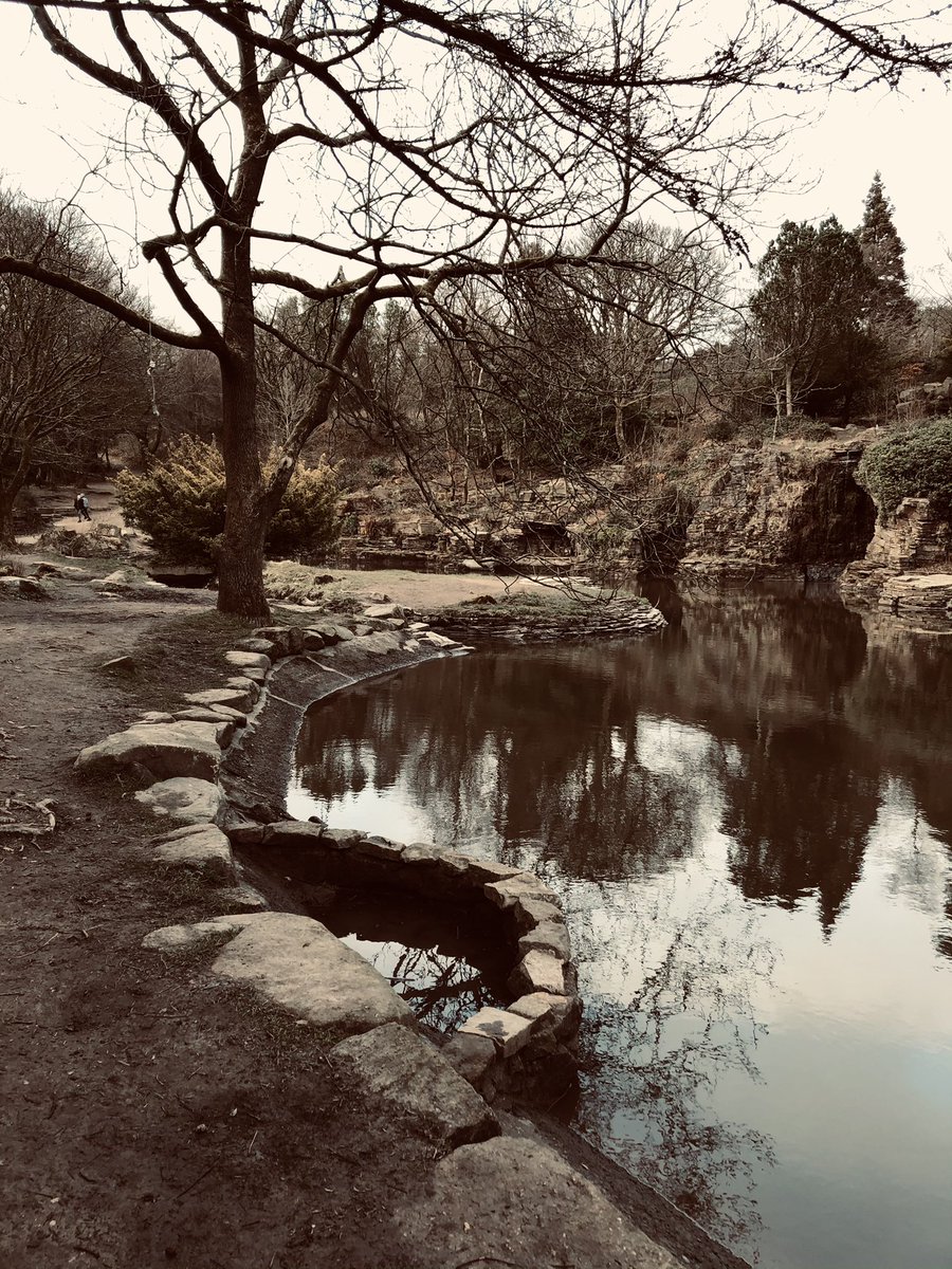 CreativeFutur12's tweet photo. Photography walk Rivington Pike Bolton https://t.co/wo289QR3eo