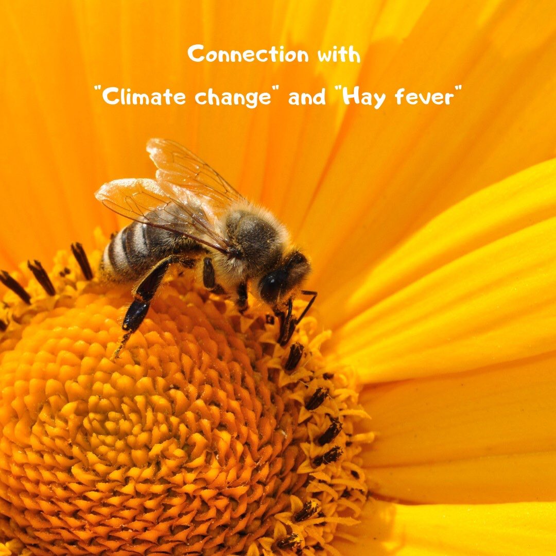 nomnominity's tweet photo. Hello!
Many Japanese suffer from hay fever every spring 🤧
So this time, we will introduce the relationship between pollinosis and environmental problems 🐝
#hayfever #Environment issues #SDGs 

Part1 https://t.co/jp6tR4oB1l