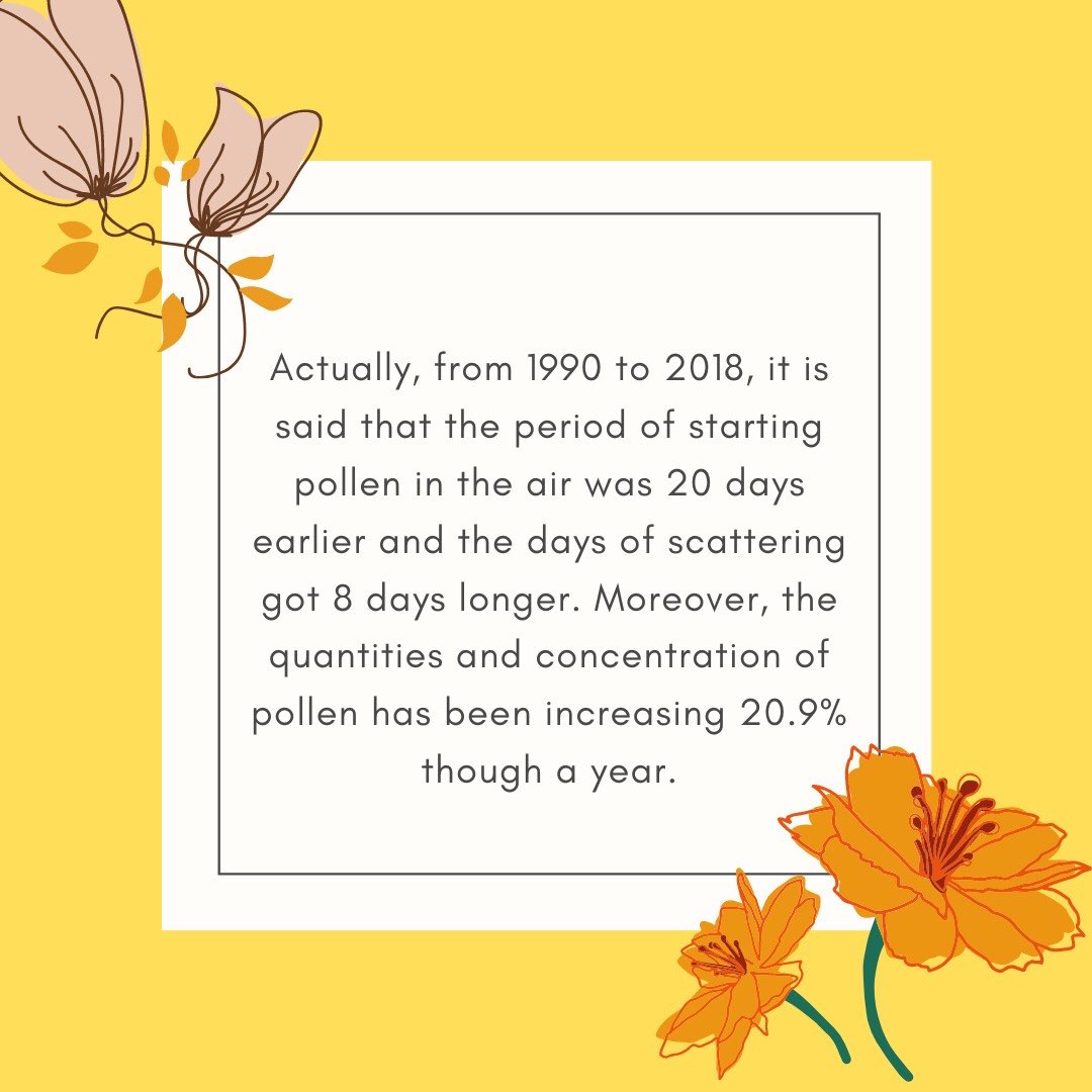 nomnominity's tweet photo. Hello!
Many Japanese suffer from hay fever every spring 🤧
So this time, we will introduce the relationship between pollinosis and environmental problems 🐝
#hayfever #Environment issues #SDGs 

Part1 https://t.co/jp6tR4oB1l