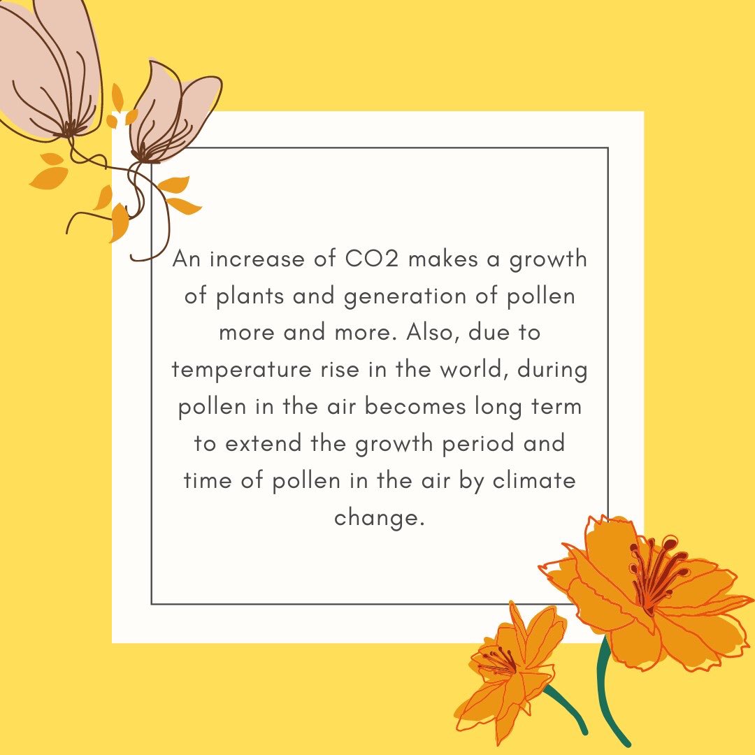 nomnominity's tweet photo. Hello!
Many Japanese suffer from hay fever every spring 🤧
So this time, we will introduce the relationship between pollinosis and environmental problems 🐝
#hayfever #Environment issues #SDGs 

Part1 https://t.co/jp6tR4oB1l