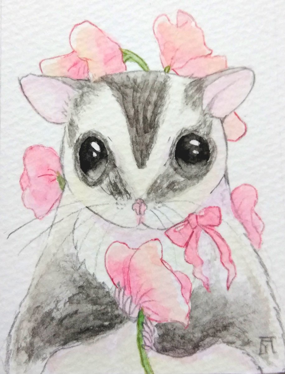 Twoucan フクロモモンガ の注目ツイート イラスト マンガ Twoucan フクロモモンガ の注目ツイート イラスト マンガ